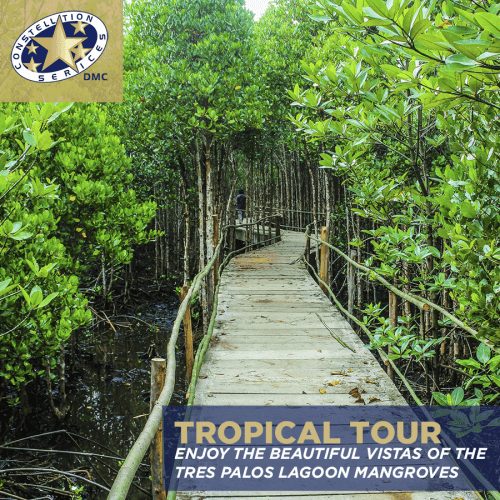 Tropical Tour Tres Palos Lagoon with Constellation Services