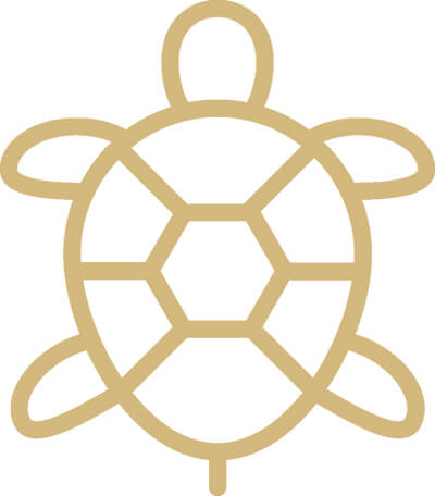 icono tortugas manglares