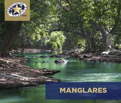 Manglares de la Laguna de Tres Palos