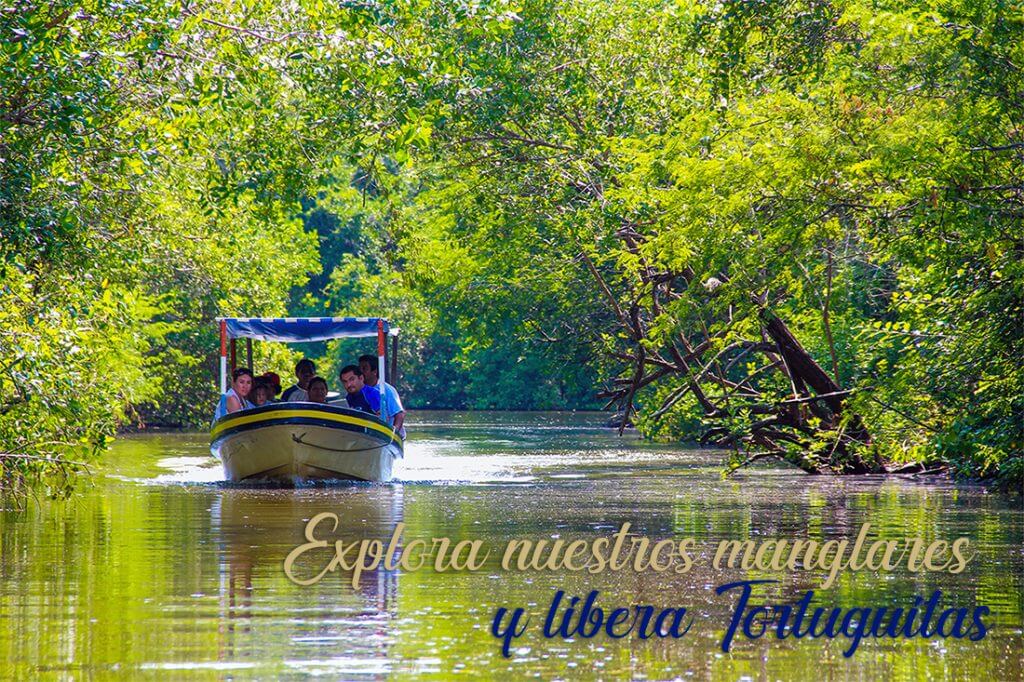Tour Tortugas y Manglares